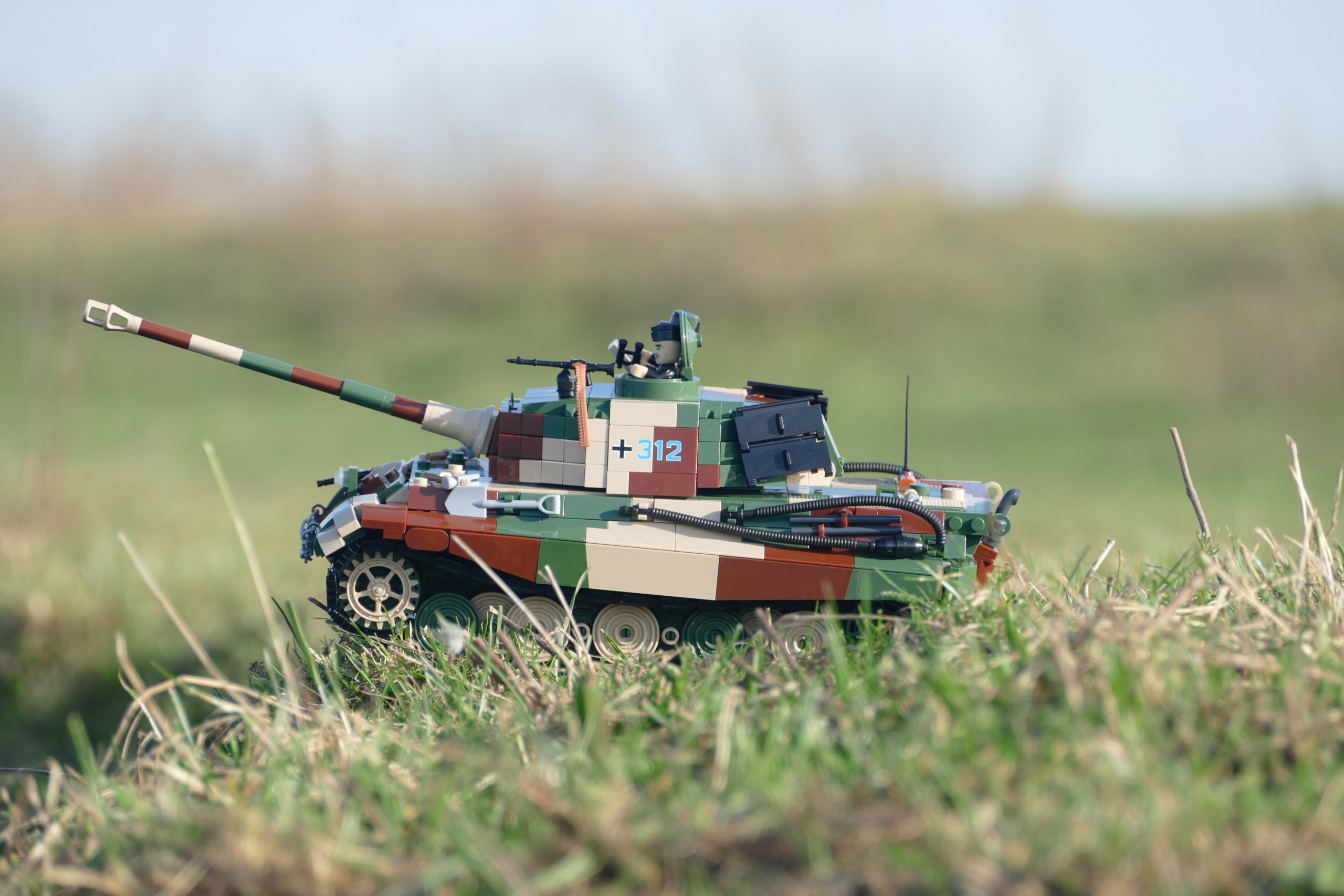 schildpaddie bL7KXjrTMuw-unsplash-scaled